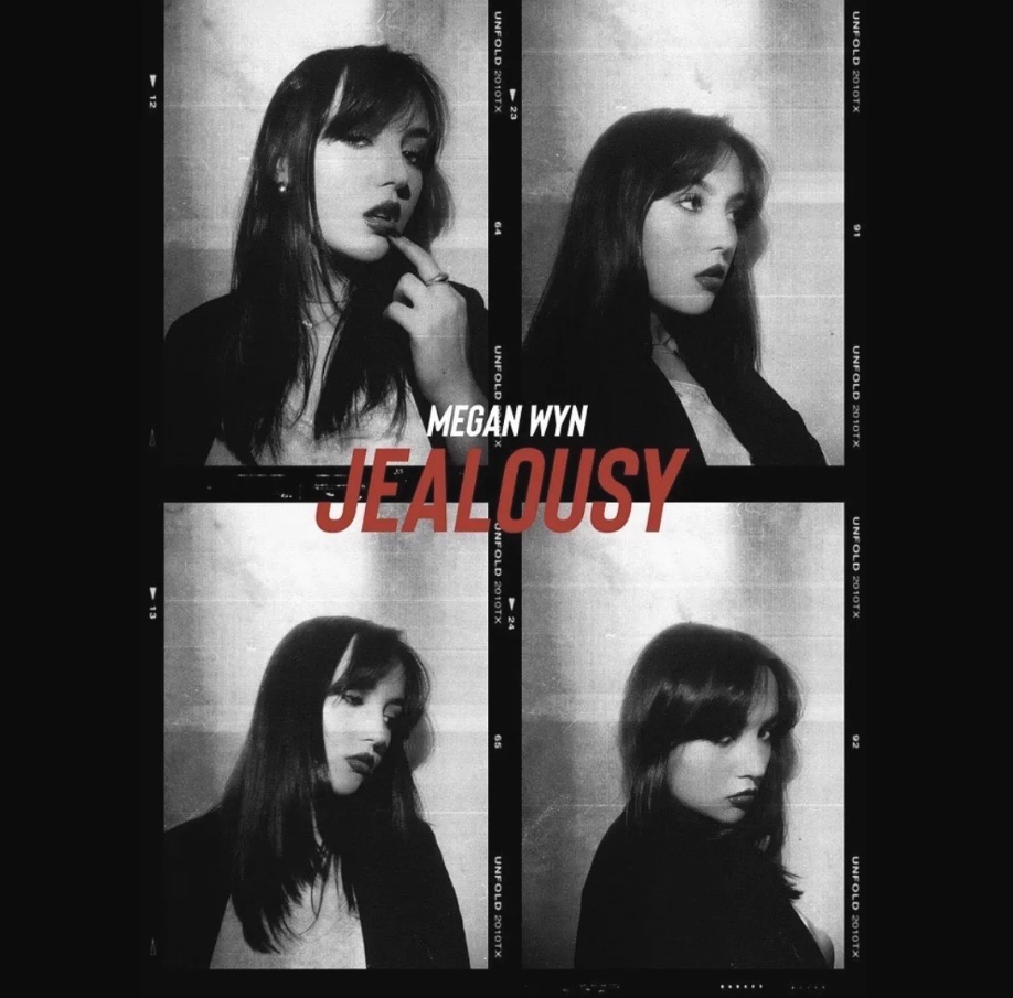 MEGAN WYN: JEALOUSY
