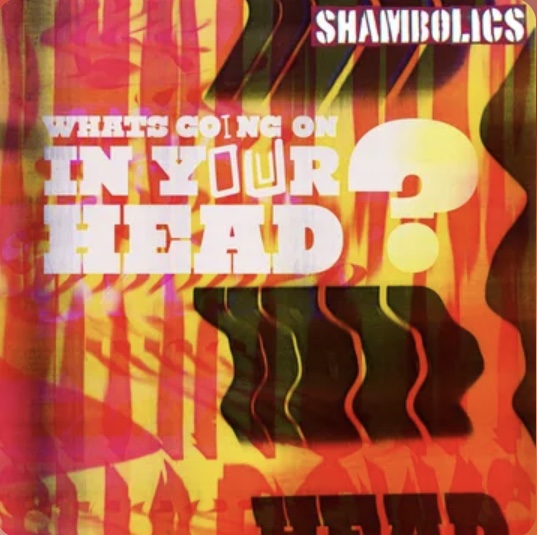 Shambolics: What’s Going On In Your&nbsp;Head?