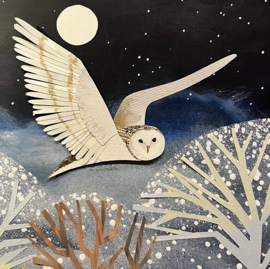 Counting Down To Christmas- Slow&nbsp;Owls